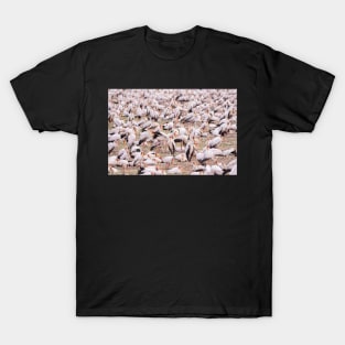 Yellow Billed Storks - Lake Manyara T-Shirt